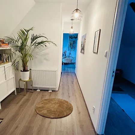 Countryside With Modern Comfort Heijningen