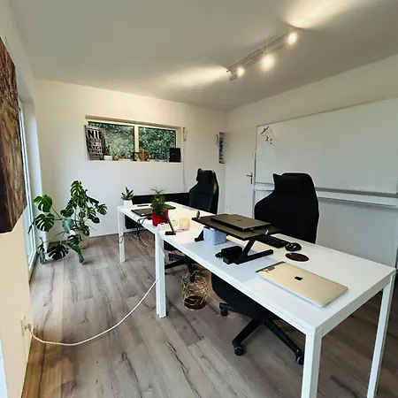Villa Countryside With Modern Comfort Heijningen