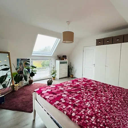 Countryside With Modern Comfort Villa Heijningen