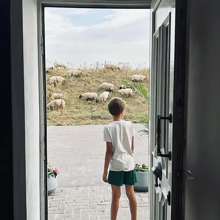 Countryside With Modern Comfort
