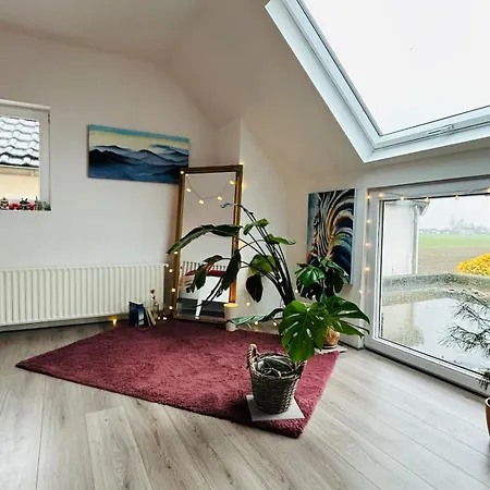 Countryside With Modern Comfort Villa Heijningen