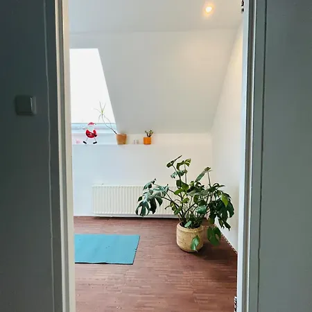 Countryside With Modern Comfort